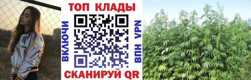 Где найти наркотики Саров COCAIN  ГАШ  Псилоцибиновые грибы  Марихуана 