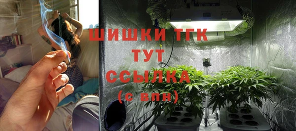 молекула духа Армянск