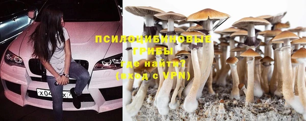 не бодяженный Аркадак