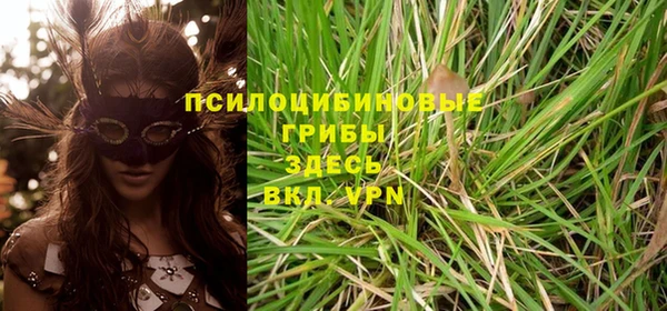 молекула духа Армянск