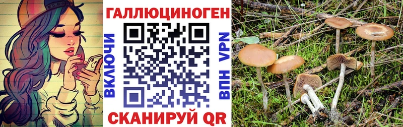Галлюциногенные грибы Magic Shrooms  Саров 